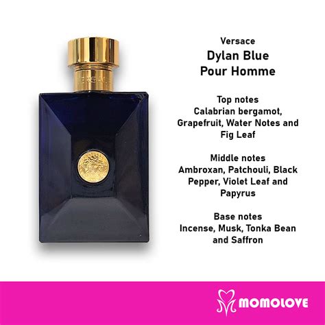 versace dylan blue vs l'homme|Versace Dylan Blue top notes.